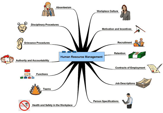 Hr Tutorial | Functions Of Human Resource Manager