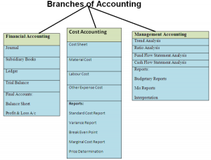 Branches Of Accounting