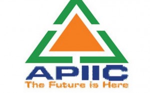 Andhra Pradesh Industrial Infrastructure Corporation Limited