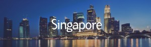 what-does-singapore-has-that-all-developing-countries-should-strive-for