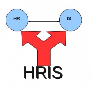 hris-a-bone-to-organization