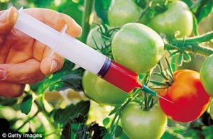 Genetically Modified(GM) Crops in India
