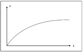 Linear functions in Economics