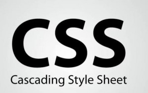 css-important-tips