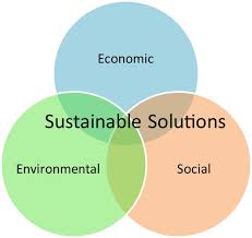 Sustainability & Social Audit Perspective