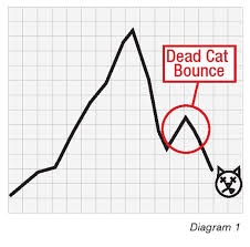 dead cat bounce