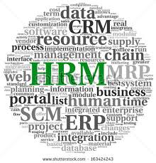 The Green Human Resource Management (Green HRM)