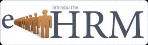 Is e-HRM Successful