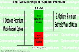 Composition of Options Premiums