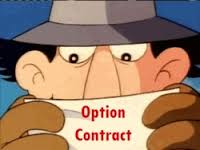 OPTION CONTRACTS