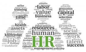 The Role of HR in the Organisation