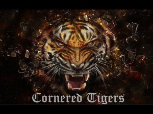 CORNERED TIGER