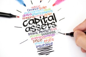 Quality of Capital Assets