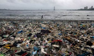 Waste in India : garbage, mostly plastic waste, on beach near Mumbai