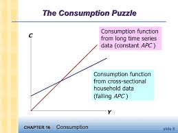 Consumption Puzzle