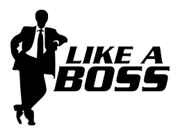 Like a Boss