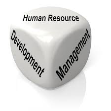 Management Development System