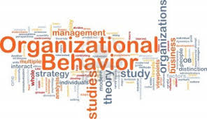 Organization Behavior