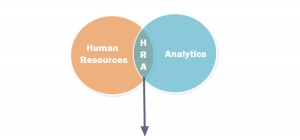 hr analytics assignment