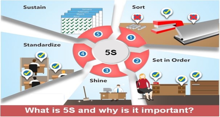 importance of 5s essay writing