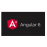 Certified Angular 6 Developer