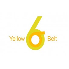 Certified Six Sigma Yellow Belt Professional