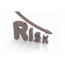 Certificate in Risk Management