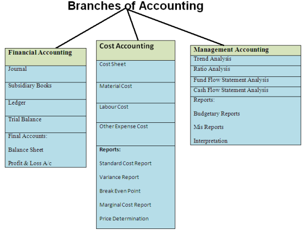 Branches of accounting