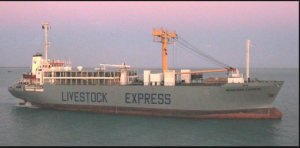 Livestock Ship