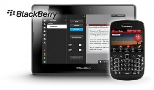 blackberry-design 11