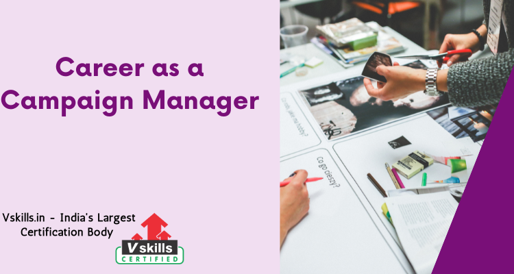 campaign manager career