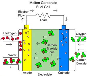 types-of-fuel-cells-02