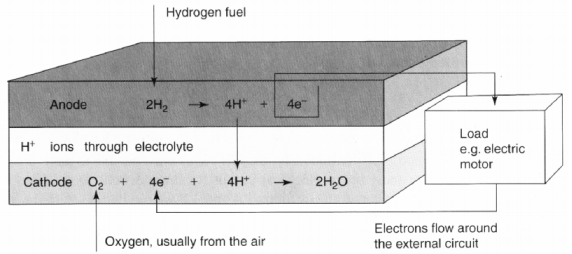 types-of-fuel-cells