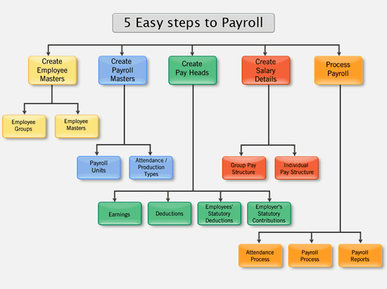 payroll assignment in tally pdf